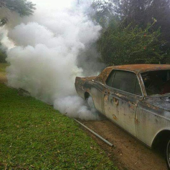 Meet your Posher, Johnny G. - Picture 6 of 7